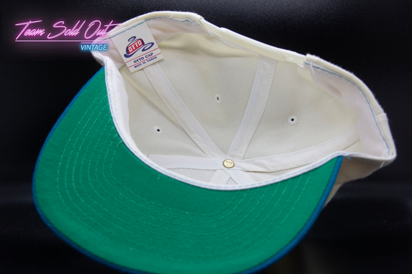 Vintage Charlotte Hornets Double Script Snapback Hat NBA