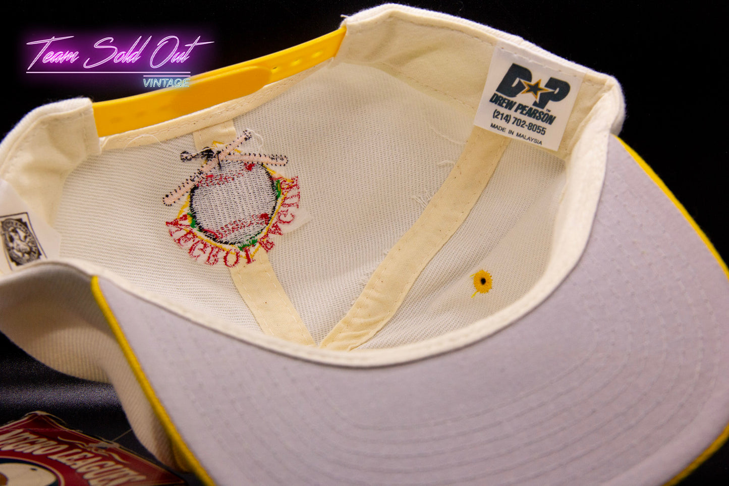 Vintage Drew Pearson 1920-1960 Negro Leagues Chicago American Giants Snapback Hat MLB