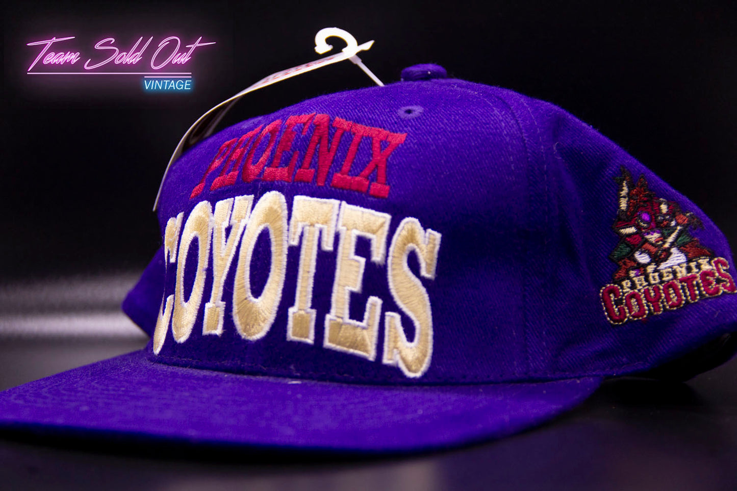 Vintage Box Seat Phoenix Coyotes Arch Logo Snapback Hat NHL