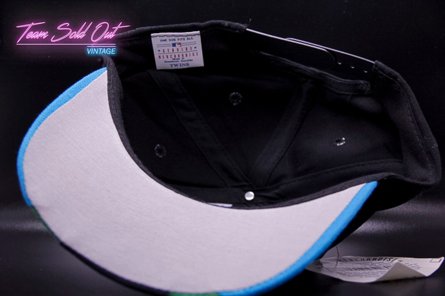 Vintage Twins Tampa Bay Rays Snapback Hat MLB