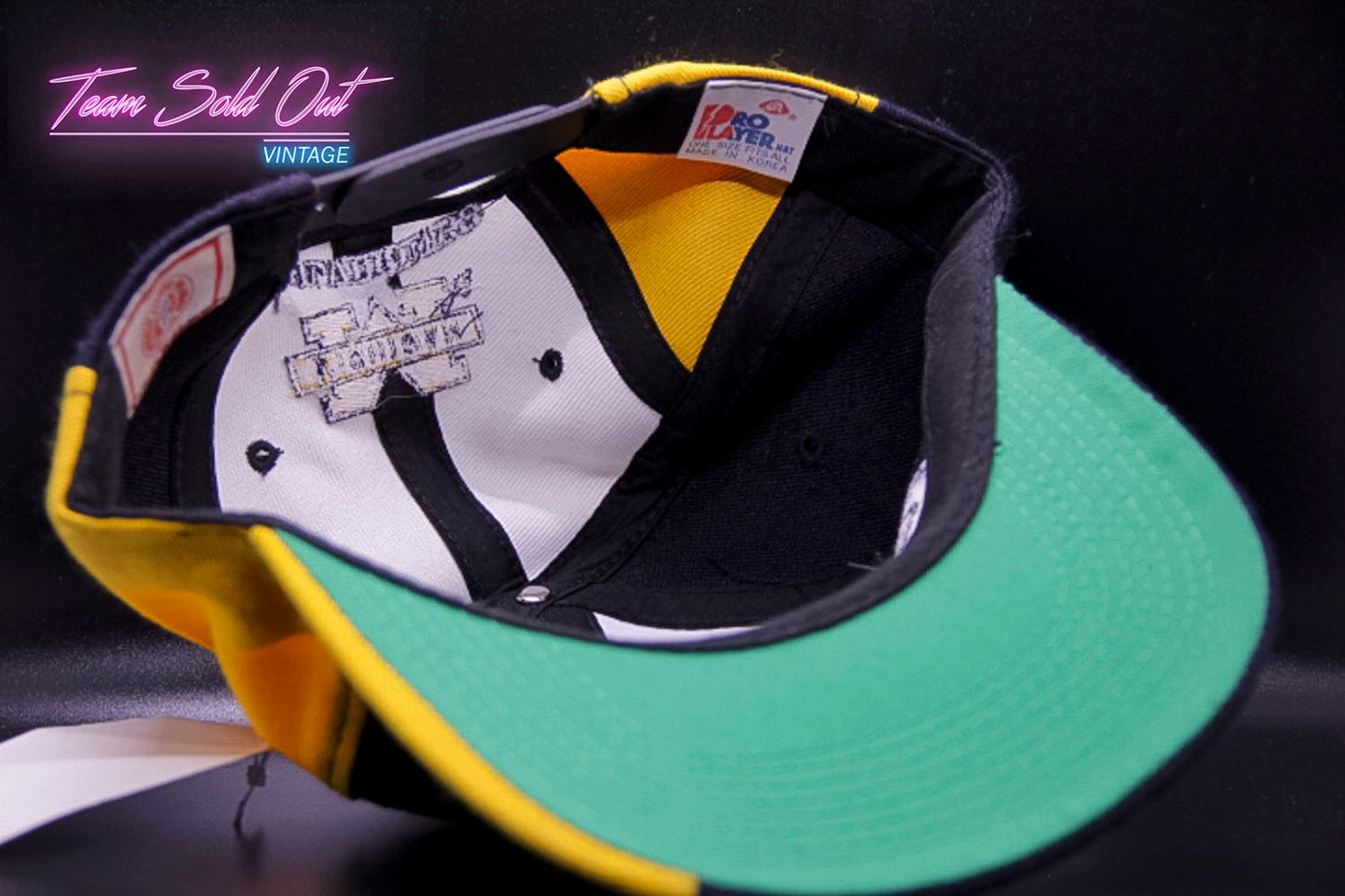 Vintage Pro Player Youngan University of Michigan Michigan Wolverines Snapback Hat NCAA