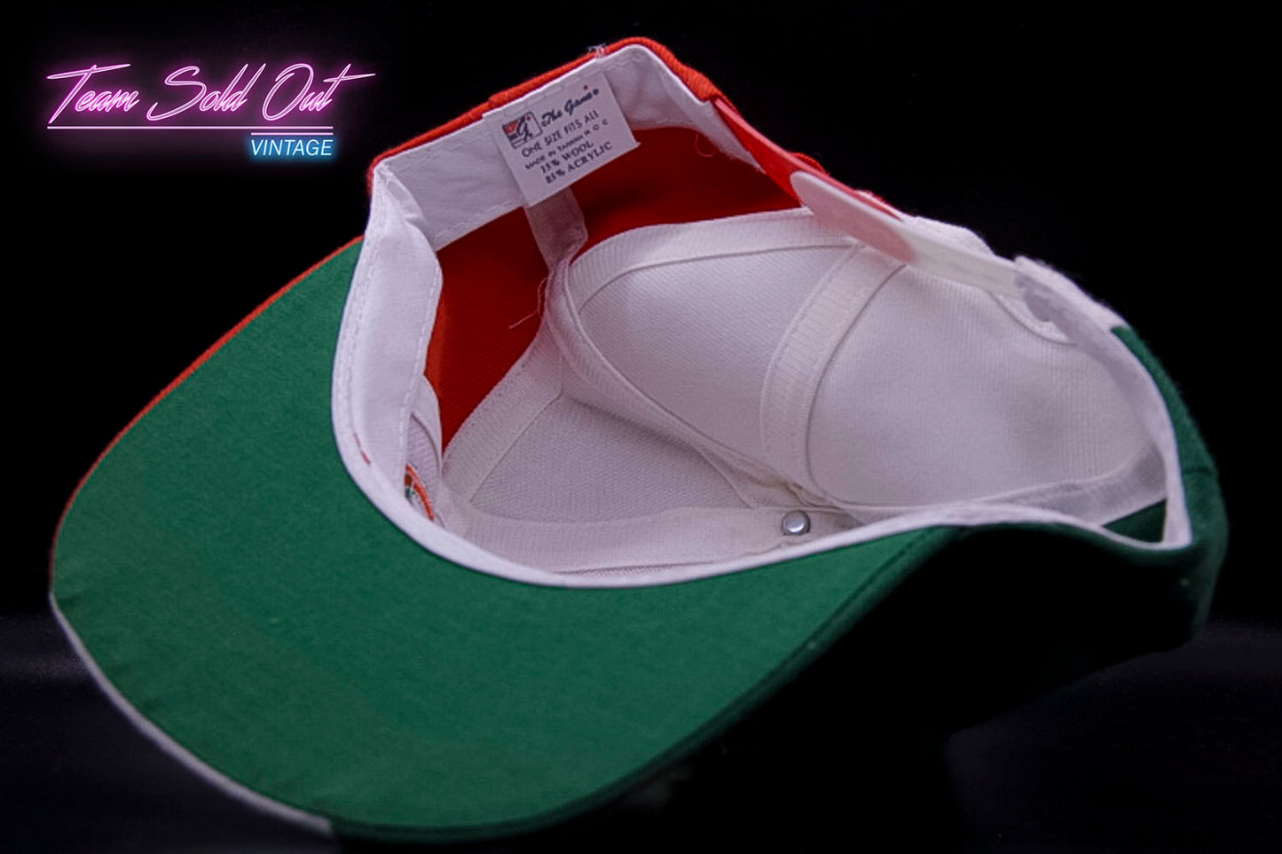 Vintage The Game Ireland 1994 World Cup Snapback Hat