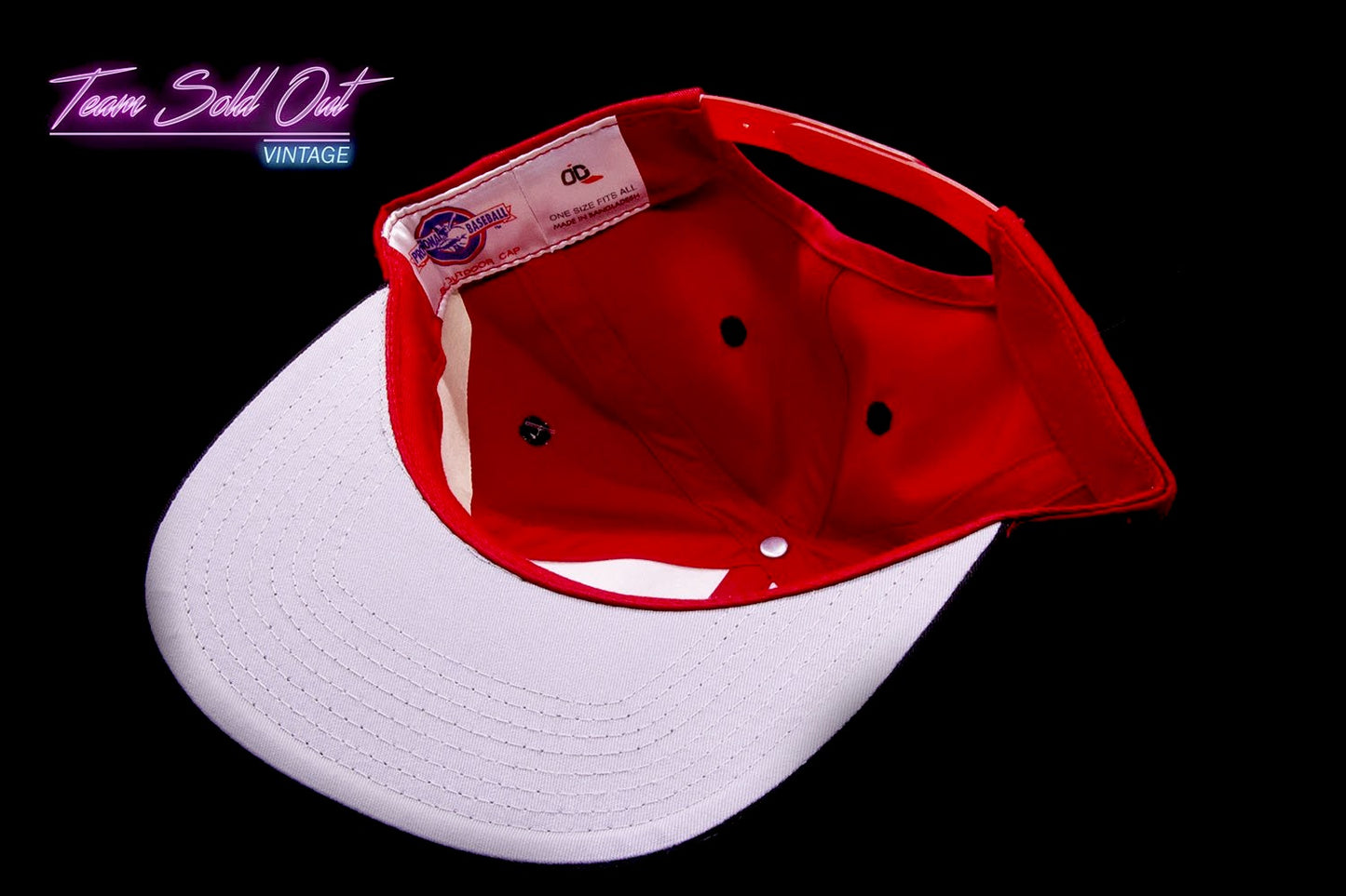 Vintage The Minor Leagues Plain Logo Lansing Lugnuts Snapback Hat MLB