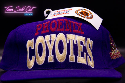 Vintage Box Seat Phoenix Coyotes Arch Logo Snapback Hat NHL