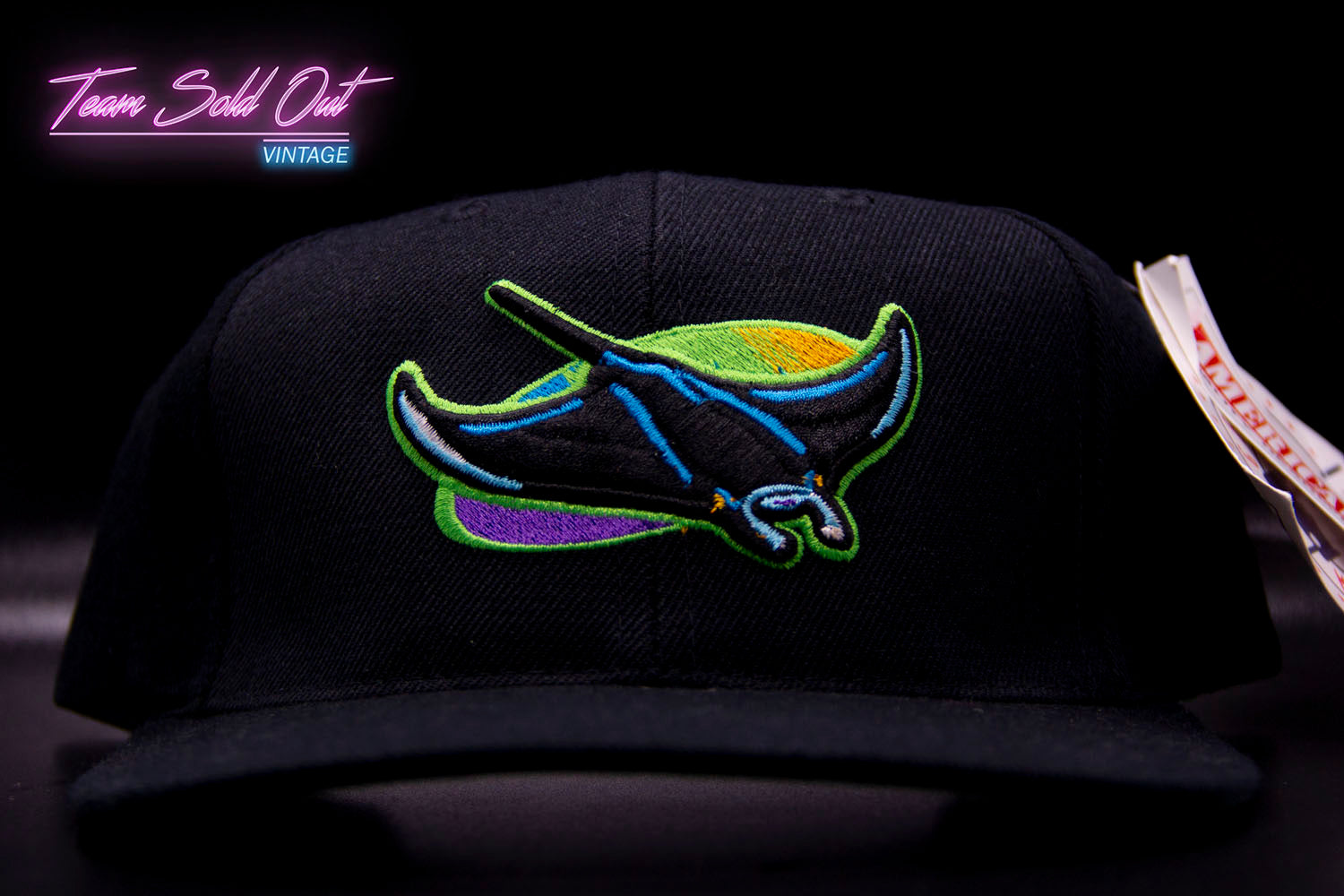 Tampa Bay Devil Rays MLB Vintage Snapback Hat Cap American 