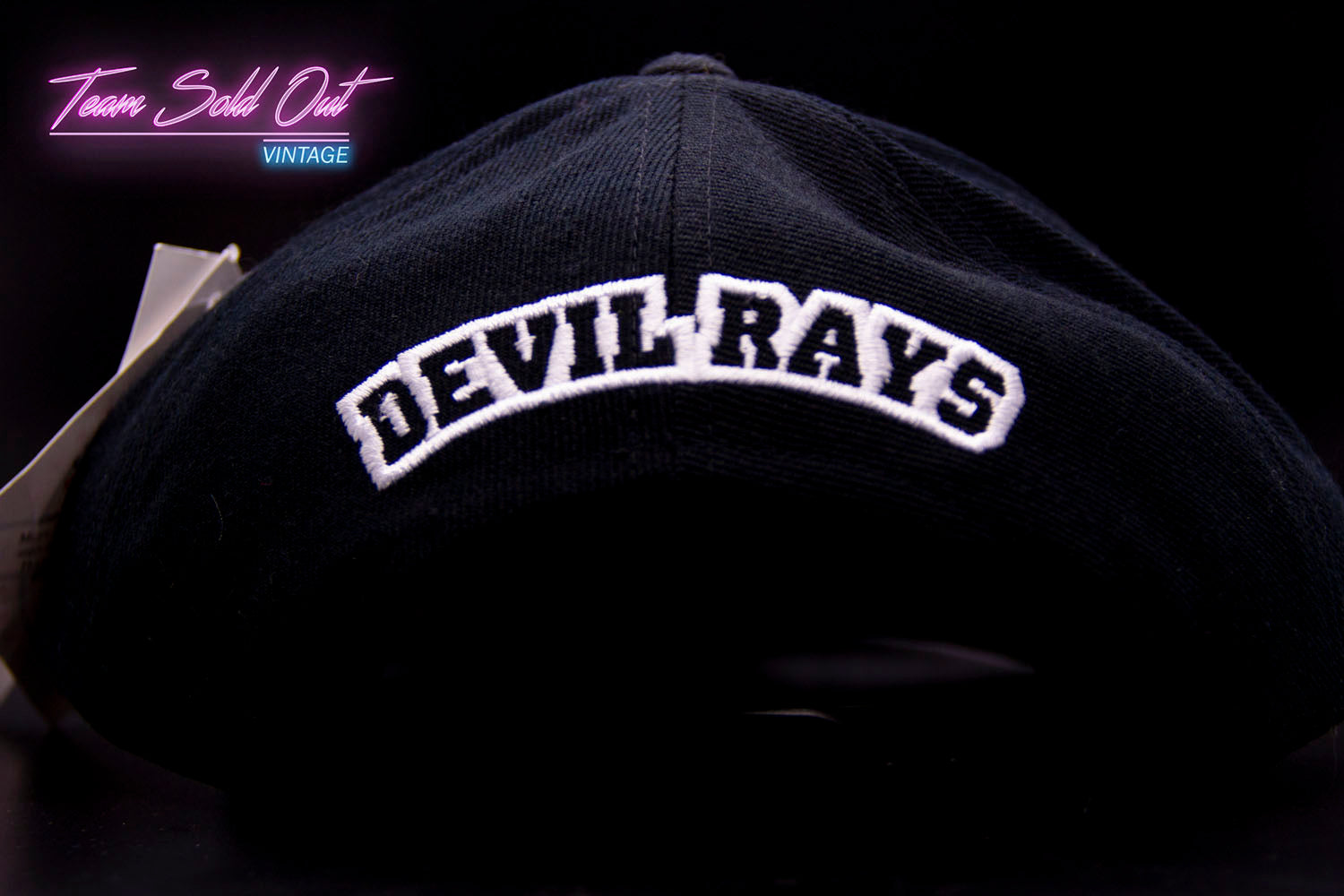 Vintage American Needle Tampa Bay Devil Rays Plain Logo Block Snapback Hat MLB