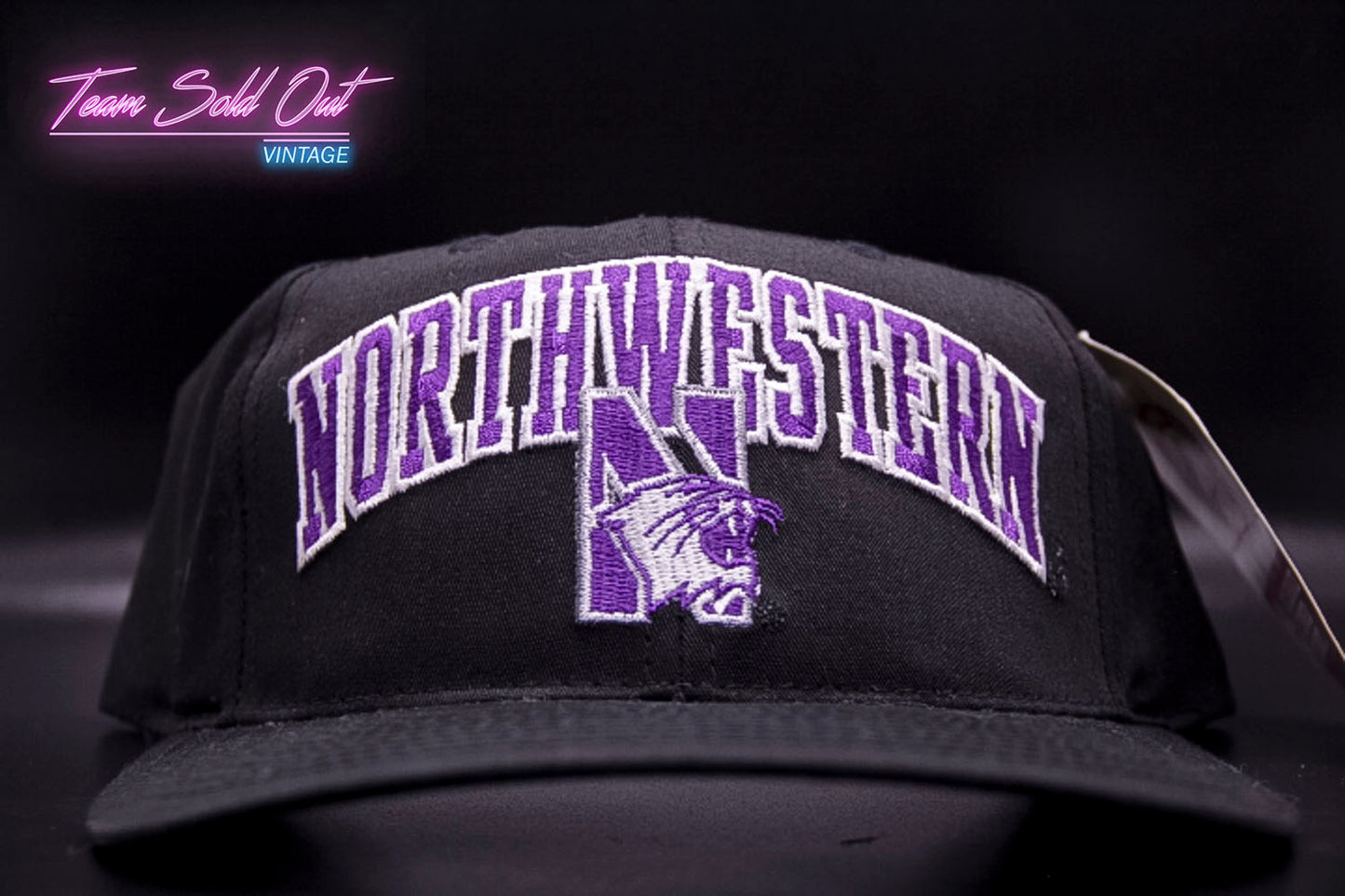 Vintage Annco Northwestern University Wildcats Snapback Hat NCAA