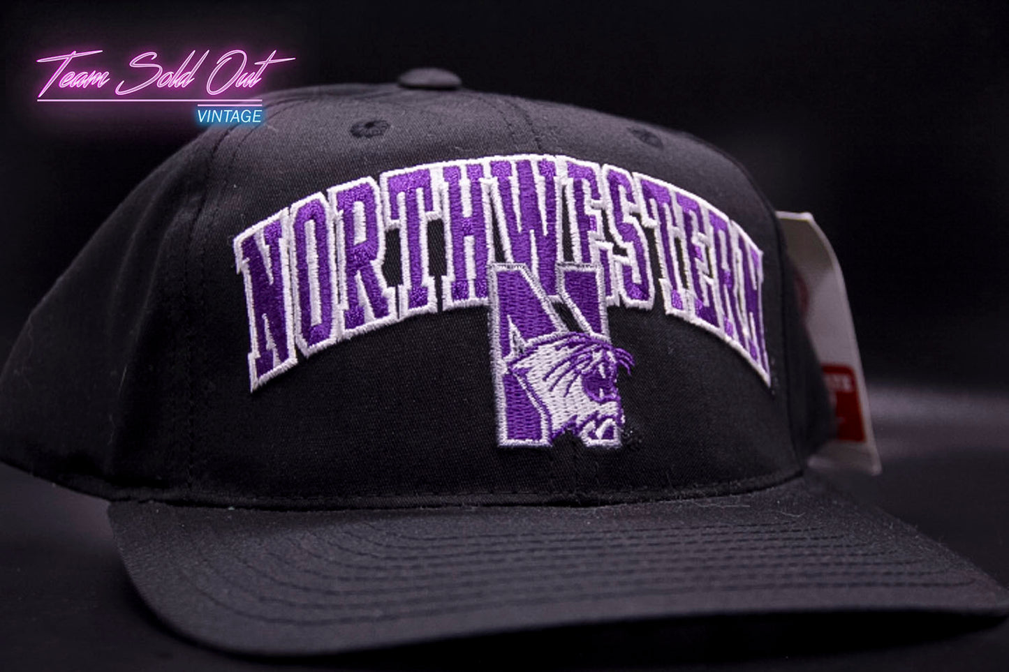 Vintage Annco Northwestern University Wildcats Snapback Hat NCAA