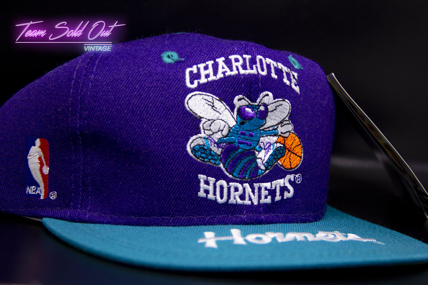 Charlotte Hornets Starter Snapback Hat – Snap Goes My Cap