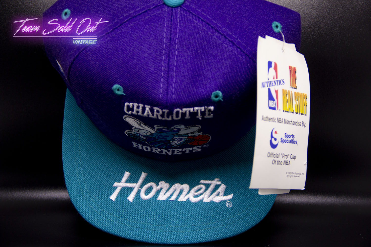 CHARLOTTE HORNETS Casquette Vintage 90s NBA Sport Specialities
